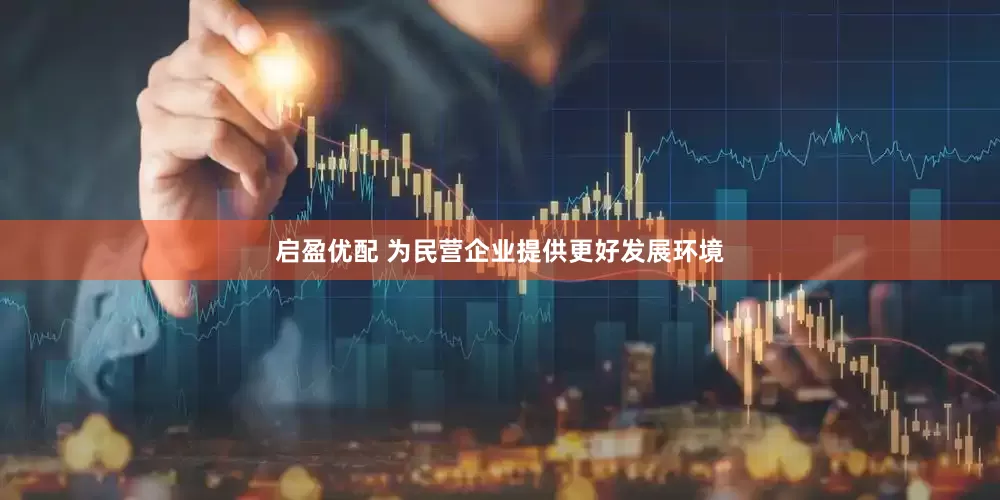 启盈优配 为民营企业提供更好发展环境