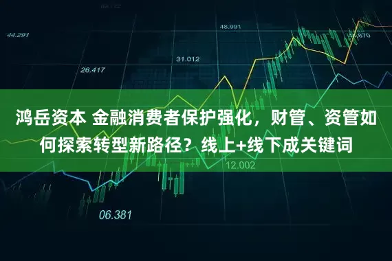 鸿岳资本 金融消费者保护强化，财管、资管如何探索转型新路径？线上+线下成关键词