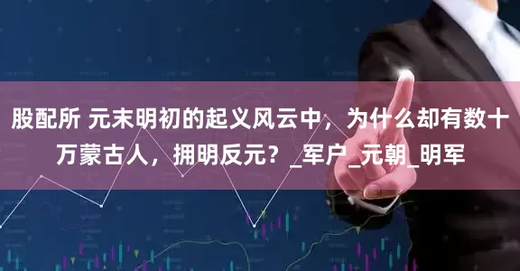 股配所 元末明初的起义风云中，为什么却有数十万蒙古人，拥明反元？_军户_元朝_明军